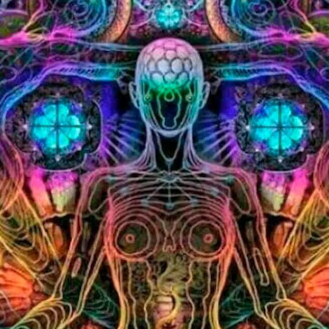 The Sahadow. Tributo a Tool