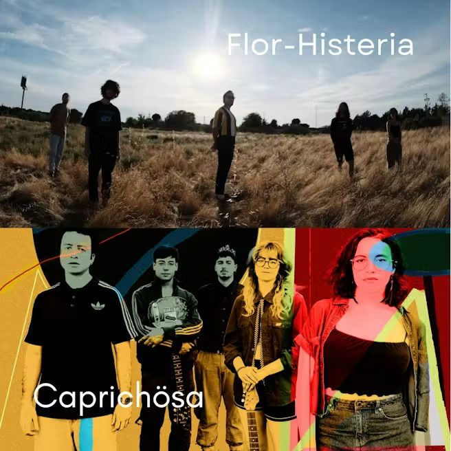 Caprichosa + Flor de Histeria
