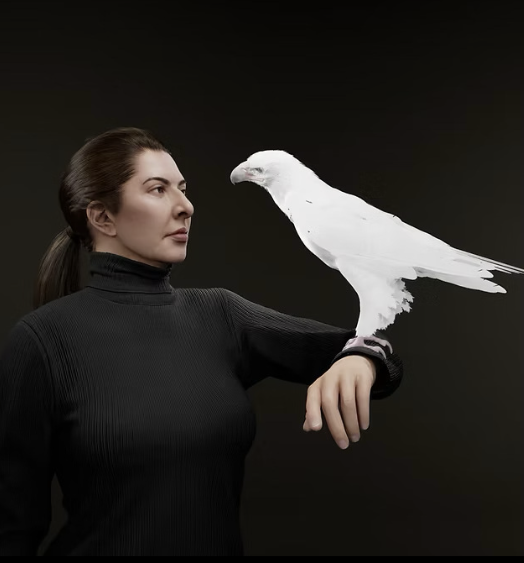 Fast Expos: The Wrong Biennale 2026: "Look Who’s Looking" by Zardoz Club.